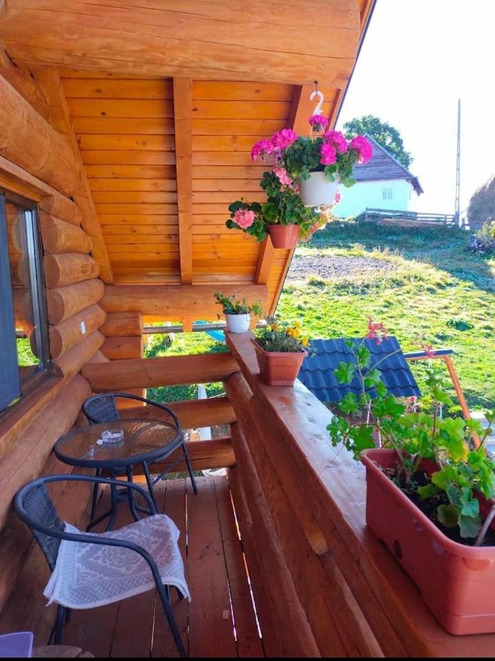 Cabana Colt De Munte Gîrda de Sus 외부 사진